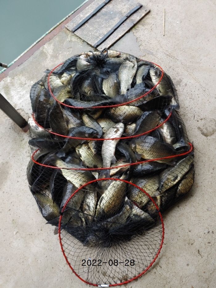 2022/08/28 조황정보