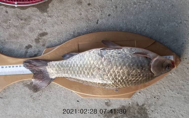 2021/03/04 조황정보