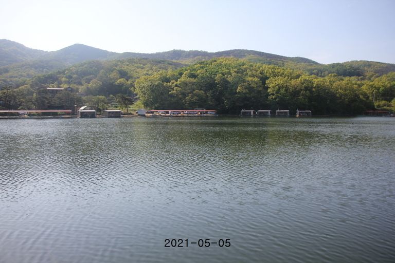 2021/05/06 조황정보