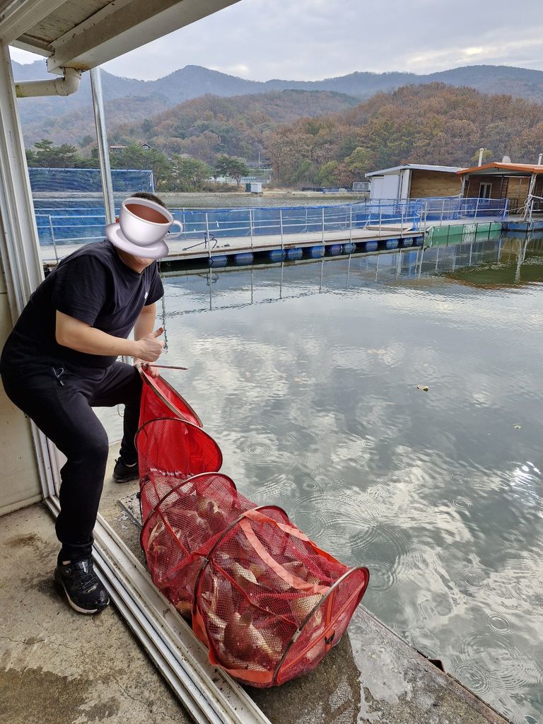 신선첫출조