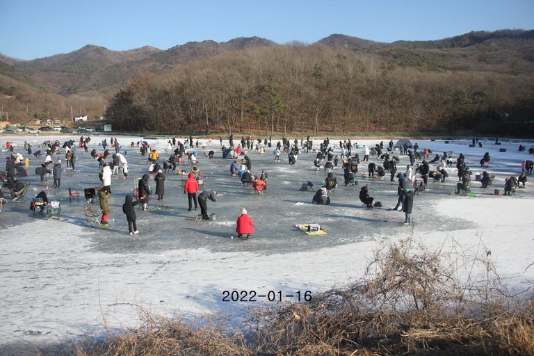 2022/01/16 조황정보