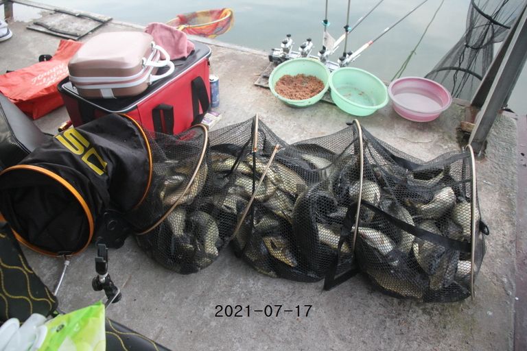 2021/07/18 조황정보