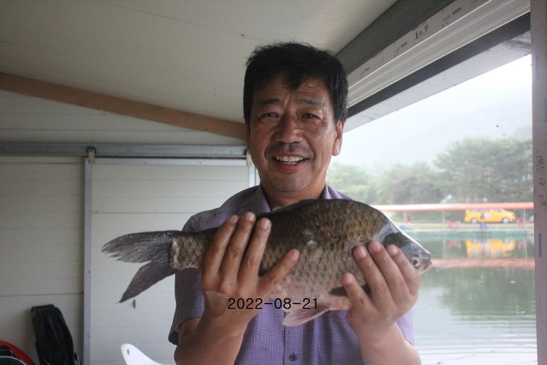 2022/08/21 조황정보